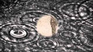 Roland Van Campenhout: Walking In The Rain