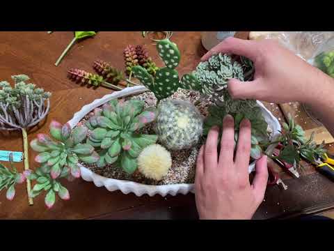DIY- Table Top Artificial Succulent Plants