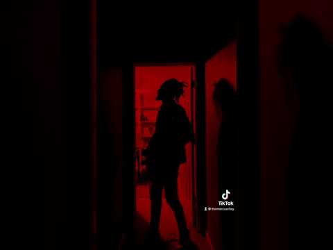 If Prince Did the Red Silhouette Challenge