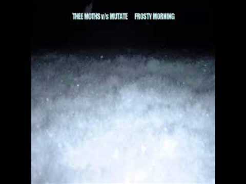 MUTATE v/s Thee Moths - Thaw