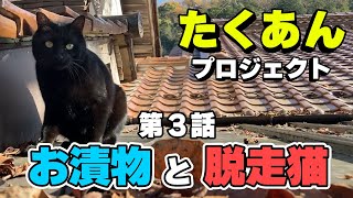 第３話「たくあんと脱走猫」ついに食す。
