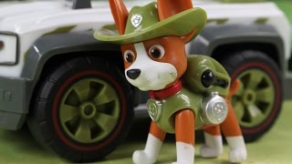 Jajka Niespodzianki w lesie | Psi Patrol & Teksta & Play-Doh | Bajki dla dzieci