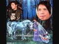 nicola sirkis indochine jusqu'au trou du monde ...