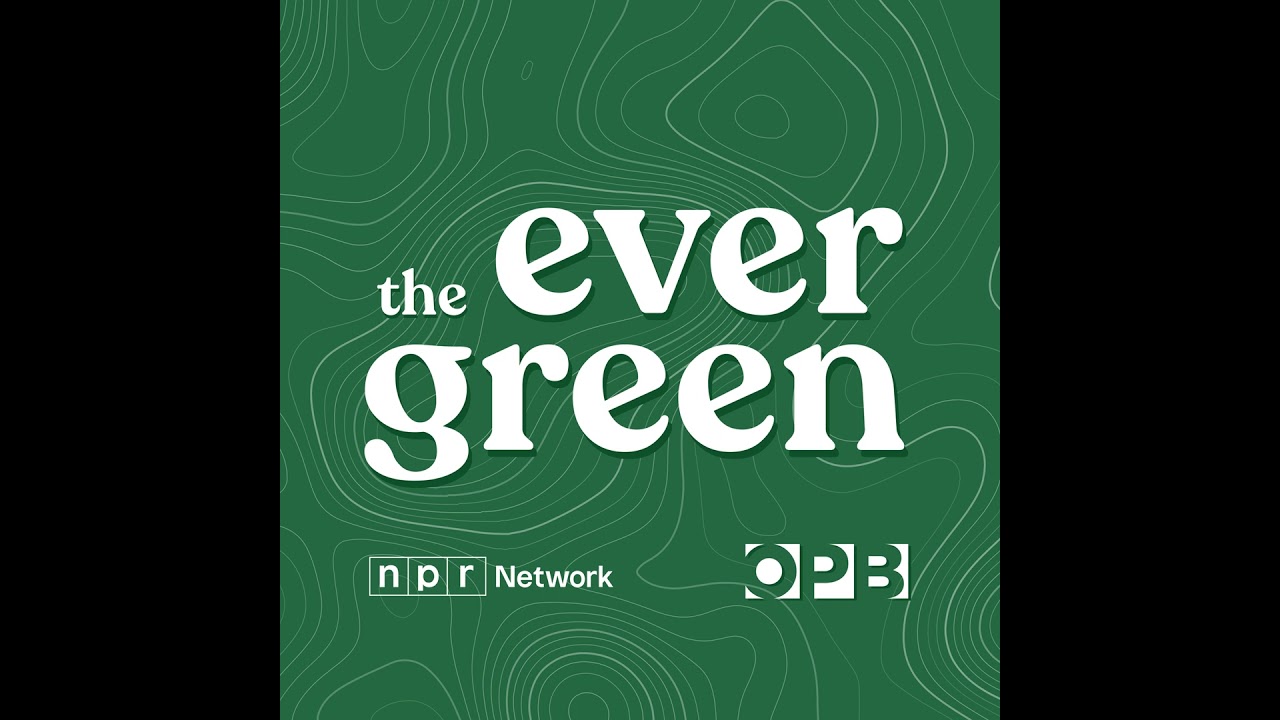 Drug recriminalization in Oregon is an ongoing experiment