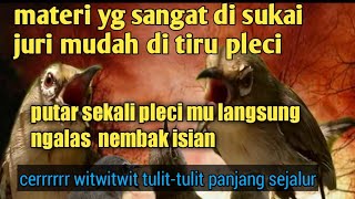 Download lagu masteran pleci nembak rapat cerr witwitwit tulit-tulit!! mp3