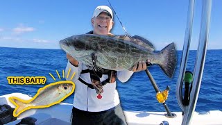 Why Goggle-Eyes Are the Deadliest Bait in the Florida Keys | Solo Fishing