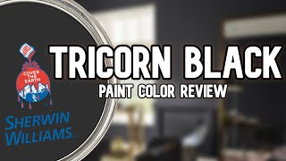 MY FAVORITE BLACK PAINT COLOR | Sherwin Williams Tricorn Black