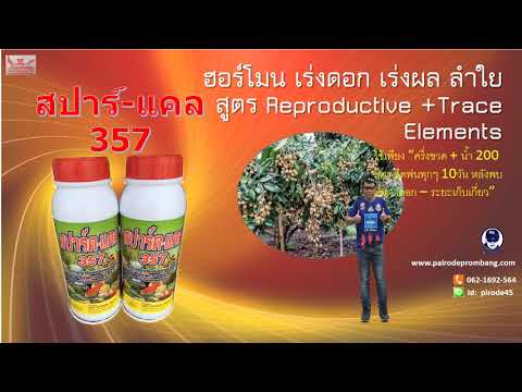 สปาร์คแคล-357