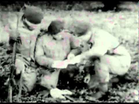 British Army LSD Test