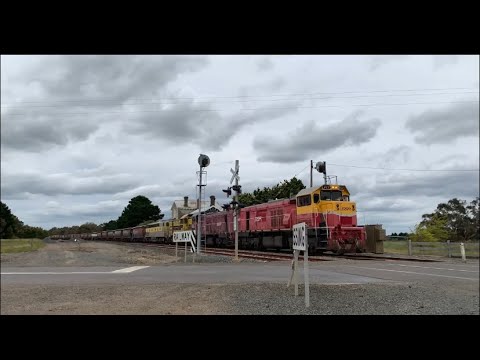 9198 Broad gauge SSR grain train at Meredith (19/11/2021)