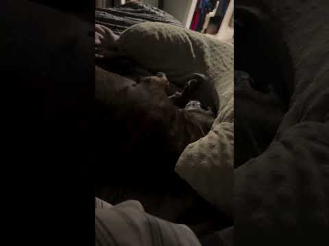 Tuesday tempers! The reason? Because it’s Tuesday and waking up is hard