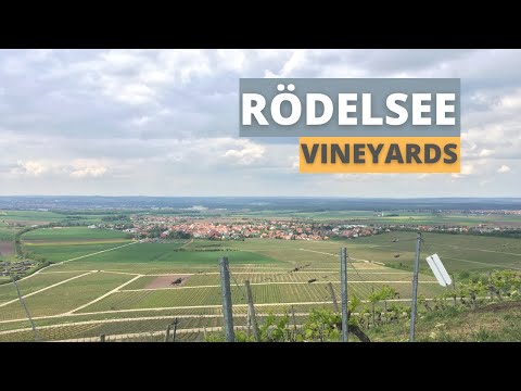 Cycle Tour Rödelsee Vineyards (Kitzingen Dist.)