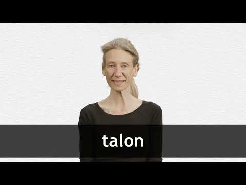 How to pronounce TALON in French
