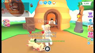 How To Get A Queen Bee Or a King Bee Adopt me Roblox