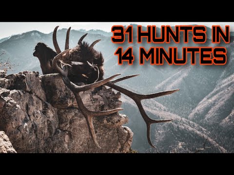 BEST ELK AND DEER KILLSHOTS | 31 HUNTS IN 14 MINUTES