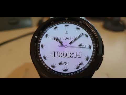 Time Flies Watch Face
