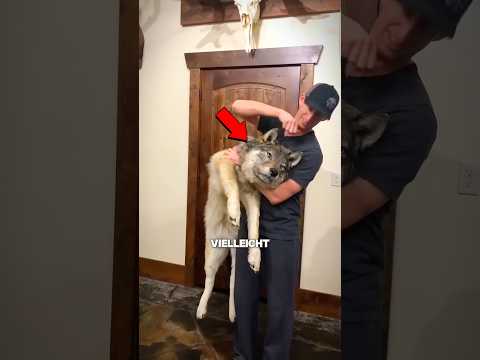 Der traurigste Job der Welt 🤯 - Teil 5 #shorts