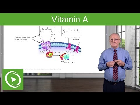 Vitamin A – Biochemistry | Lecturio