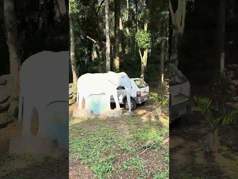 #shorts Loja Wilson Artes Rodovia 466 Turvo PR