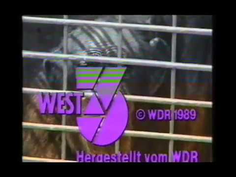 Om buschman, Mittwochs in, Playing on a Keksdose