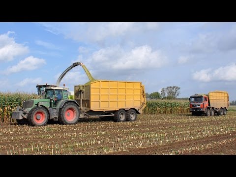 Claas Jaguar 970 - Loonbedrijf Neyt - mais 2014