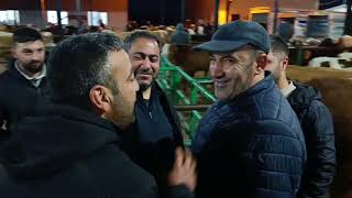 KAYSERİ DEVELİ BELEDİYESİ HAYVAN PAZARI .!!! 05 MAYIS SALI 