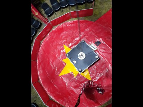 DZIEŃ Z ŻYCIA W CYRKU ASTORIA