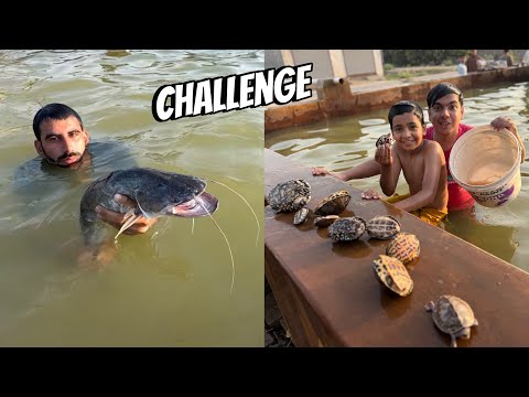 Waleed vs Talli Turtle Challenge 😱 Javaid Ny Fish Pakr Li 🐠