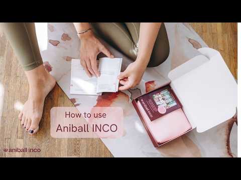 A clear guide on how to use Aniball INCO