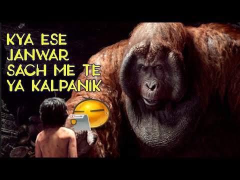 download lagu mp3 mp4 Hollywood Janwar Ki News, download lagu Hollywood Janwar Ki News gratis, unduh video klip Hollywood Janwar Ki News