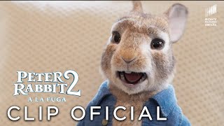 Sony Pictures Entertainment Peter Rabbit 2 - "Peter tiene una voz INSUFRIBLE" Clip en ESPAÑOL anuncio