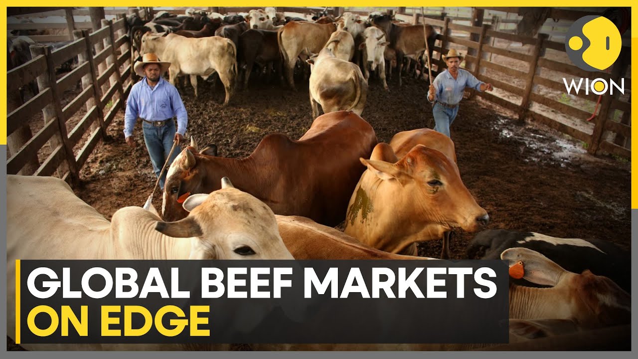 New China Beef Tariffs To Run For 3 Years | WION