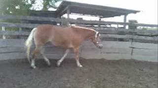 iris...no reins-rascal flatts