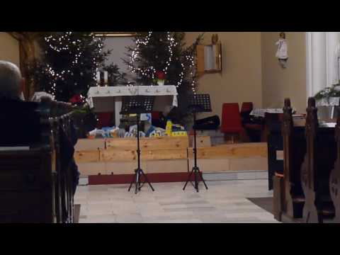 Novoroční koncert 8.1. 2017 - Varhany, housle a trubka