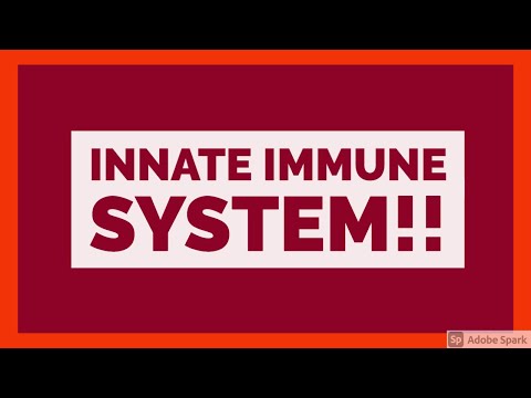 HIV PART 3 II CHAP 6 II ROBBINS 10TH E PATHOLOGY LECTURES II IMMUNE SYSTEM