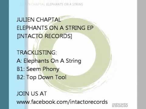 Julien Chaptal - Elephants On A String  [Intacto Records]