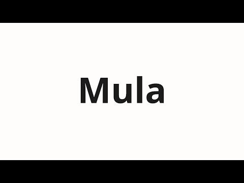 How to pronounce Mula
