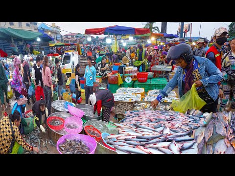 Ever Seen Cambodian Fish & Seafood Market In Early Morning? Dry  Fish, Alive Fish, Alive Prawn,&More