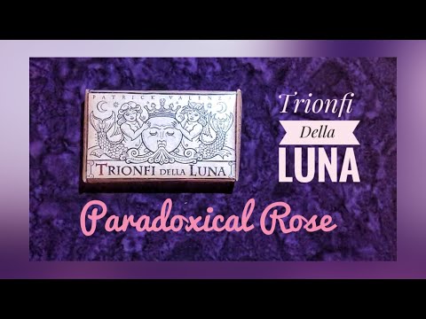 Trionfi Della Luna Paradoxical Rose