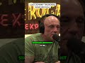 Lost Johnny Thunders Song Revival - Ian Edwards #jre #shorts