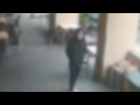 Vimercate, le immagini che incastrano l'aggressore della barista: «In città lo conoscono tutti»