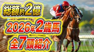 【一口馬主2026】出資馬7頭の近況を完全紹介！6月13日函館デビュー確定！