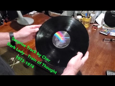 VinylStyles Spin of Train of Thought by Cher