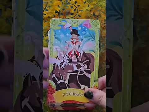 Beautiful cards from The #wizardofoztarot #Tarot #tarotreading #tarotreader #tarotmentor