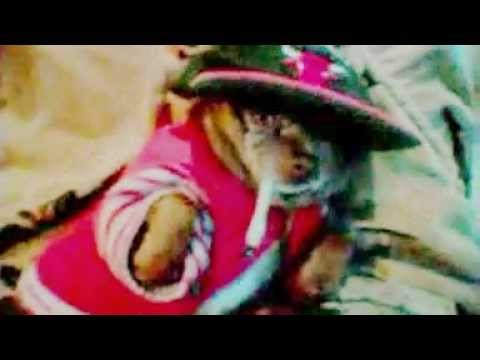 " OH MY DOG...!!!!  " SMOKIN FATBOY  "BaD BoY" BY DRAGONSLiVED