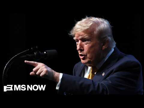 'This is not a UFC fight’: Nevada Secy. of State blasts Trump’s new voter suppression effort
