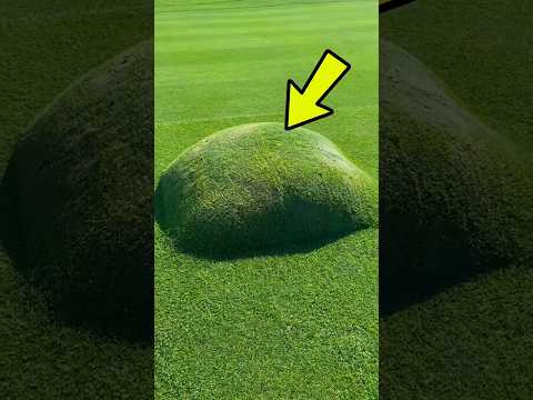 Never Step on a Swollen Grass Bubble! ⛳😱 #facts