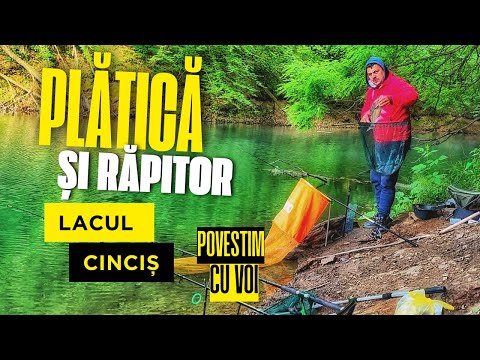 La Pescuit a 2-a zi după prohibiție! Plătică și răpitor,Povestim cu voi pe Lacul Cinciș 🎣 🌤️