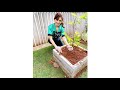 Compilation Video Urvashi Rautela On Instagram