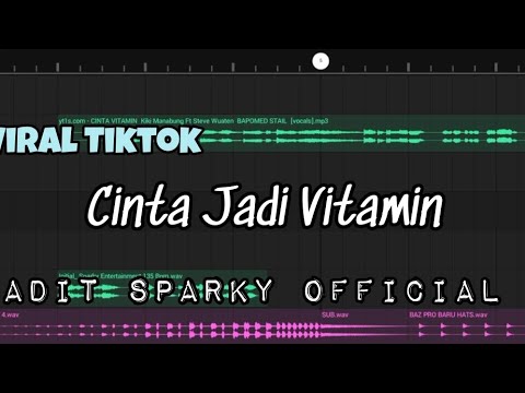 DJ CINTA JADI VITAMIN VIRAL TIKTOK❗❗Adit Sparky Official Nwrmxx FULLBASS